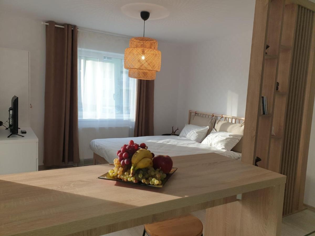 Suite Life Brasov Coresi Extérieur photo